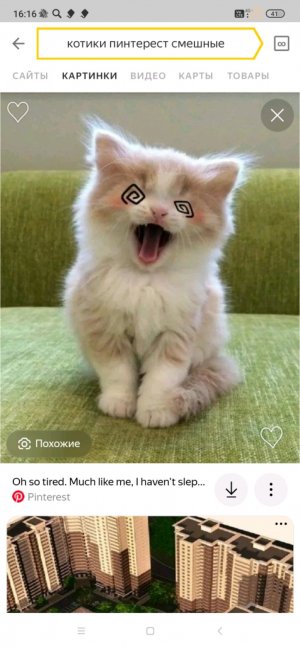 ППП