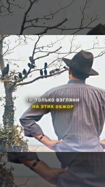 С ними можно договориться Shorts [get.gt]