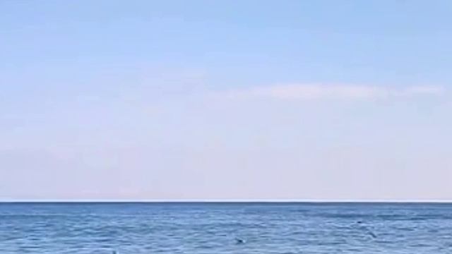 Весы и их интеллект