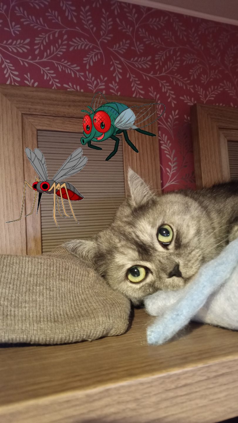 Личный ПВО: система защиты от насекомых активирована 🐱🦟