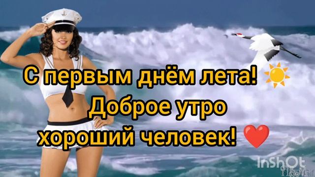 5833.mp4 смотреть онлайн