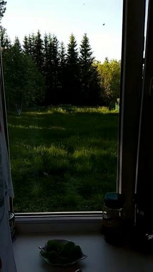 🏡приехали с дочкой в деревню )