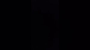 1000269390.mp4