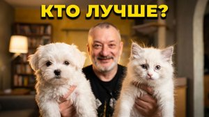 Кого же выбрать в качестве верного друга — кошку или маленькую собачку?