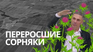 Гербициды на пшенице в поздние фазы. Чем работать без потерь урожая | Агроном | Сергий Ризанов