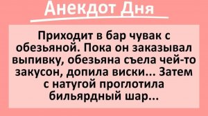 Приходит в бар чувак с обезьяной... | Анекдоты смешные | Юмор