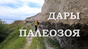 Дары Палеозоя