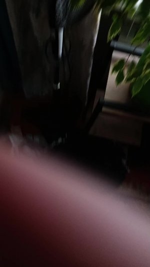 играем в прятки-жмурки с другом часть 2