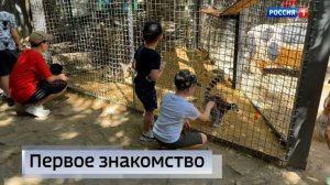 Сотрудники СК РФ организовали экскурсию для воспитанников Харцызского реабилитационного центра