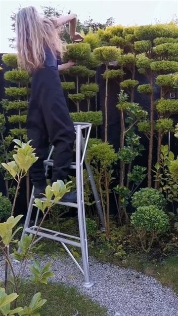 Красивая стрижка кустарников и деревьев
