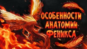 Феникс с точки зрения науки _ Спекулятивная биология