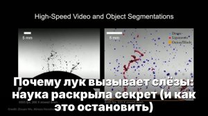 Почему лук вызывает слёзы- наука раскрыла секрет (и как это остановить)
