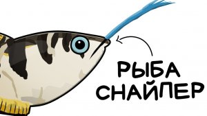 Ты — Брызгун (и это вся твоя жизнь)