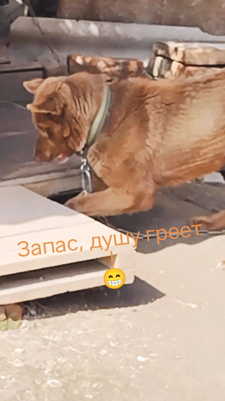 Мишка в первый день лета!😁 Всё, про запас!🤣 01-06-2026