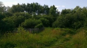 Если по траве пойдут коровы
