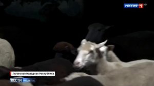 В Донбассе и Новороссии отметили Курбан-байрам