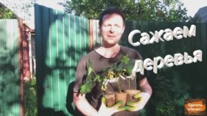 Сажаем деревья