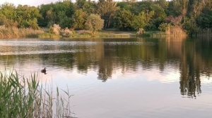 Став в Шахтах, ростовская область