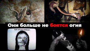Айсберг Австралии