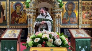 Проповедь в День Святой Троицы. Протоиерей Андрей Ткачёв