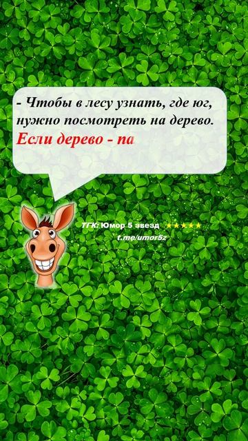 Юмор 5 звезд - #юмор #смешно #ржач #прикол #анекдот #веселоевидео