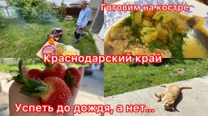 Купили дом. Картошка в казане. Маленький триммер. Обработала розы и дождь. Жизнь на юге