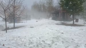 Медовый апрель и снежный май.