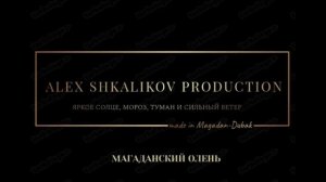 МАГАДАНСКИЙ ОЛЕНЬ.mp4