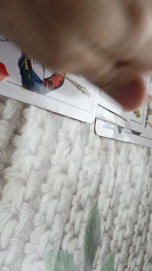 фокусы с картами