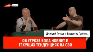 Об угрозе БПЛА Hornet и текущих тенденциях на СВО