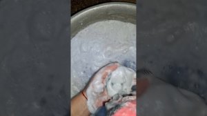 9446.mp4