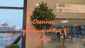 Отель «Бархатные сезоны».  Сочи. Улетаю...