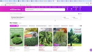 Покупка саженца на wildberries в Питомнике Сергея Зудина
