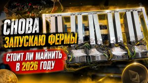 Снова запускаю фермы на CMP170HX. Стоит ли майнить в 2026 году. Доход и прибыль майнинга 20206