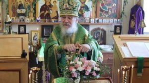 Проповедь епископа Амвросия (Тимрота) в День Святого Духа, 1 июня 2026 года