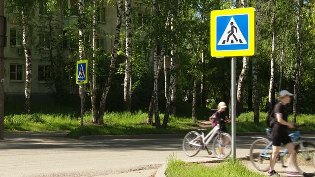 Территория правопорядка 01.06.2026