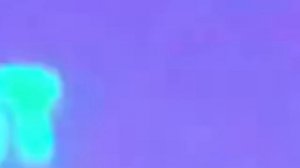VID_010620140869