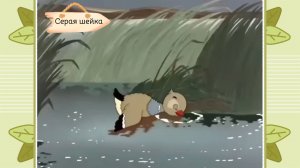 История одной отважной уточки