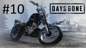 Прохождение Days Gone - Часть 10