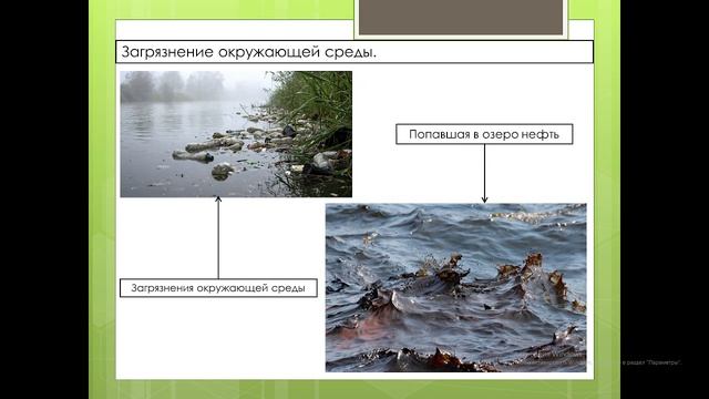 Изменения в природе в связи с деятельностью человека 5 класс