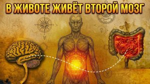 25. В твоём животе живёт второй мозг, о котором ты не знал | За Гранью Кода