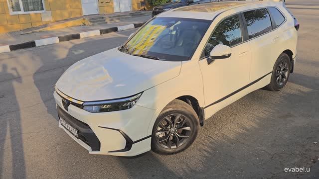 Honda Breeze 2 поколение Eva коврики в салон и багажник Evabel.ru 88800-222-48-45