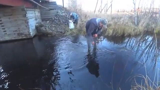 СЕВЕРНАЯ РЫБАЛКА! ЗАБИЛИ ВСЕ МЕШКИ! ЗДОРОВАЯ ДЛИННАЯ РЫБА РАЗМЕРОМ В ФОРД В КОНЦЕ БОНУСОМ!