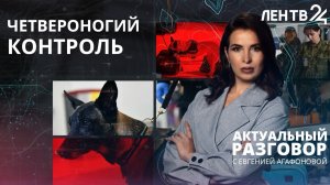 Как служебные собаки помогают таможенникам