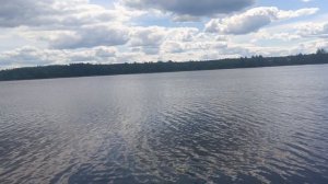 зарыбление осетра,рыбалка на осётра РК «Фишка» Петряиха