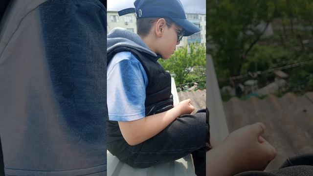 гуляем смотреть онлайн