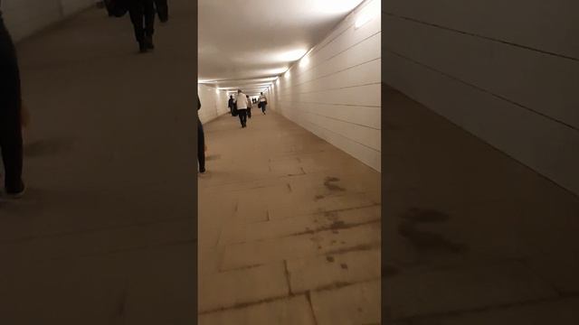 Река Белая сегодня стала чёрной