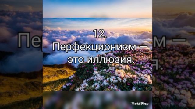 23 кусочка пазла жизни