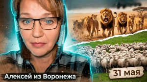 Алексей из Воронежа. 31 мая