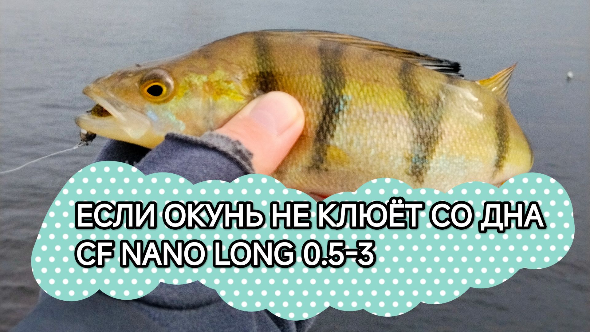 РАЗДАЧА ОКУНЯ НА МИКРОДЖИГ🔥🔥🔥